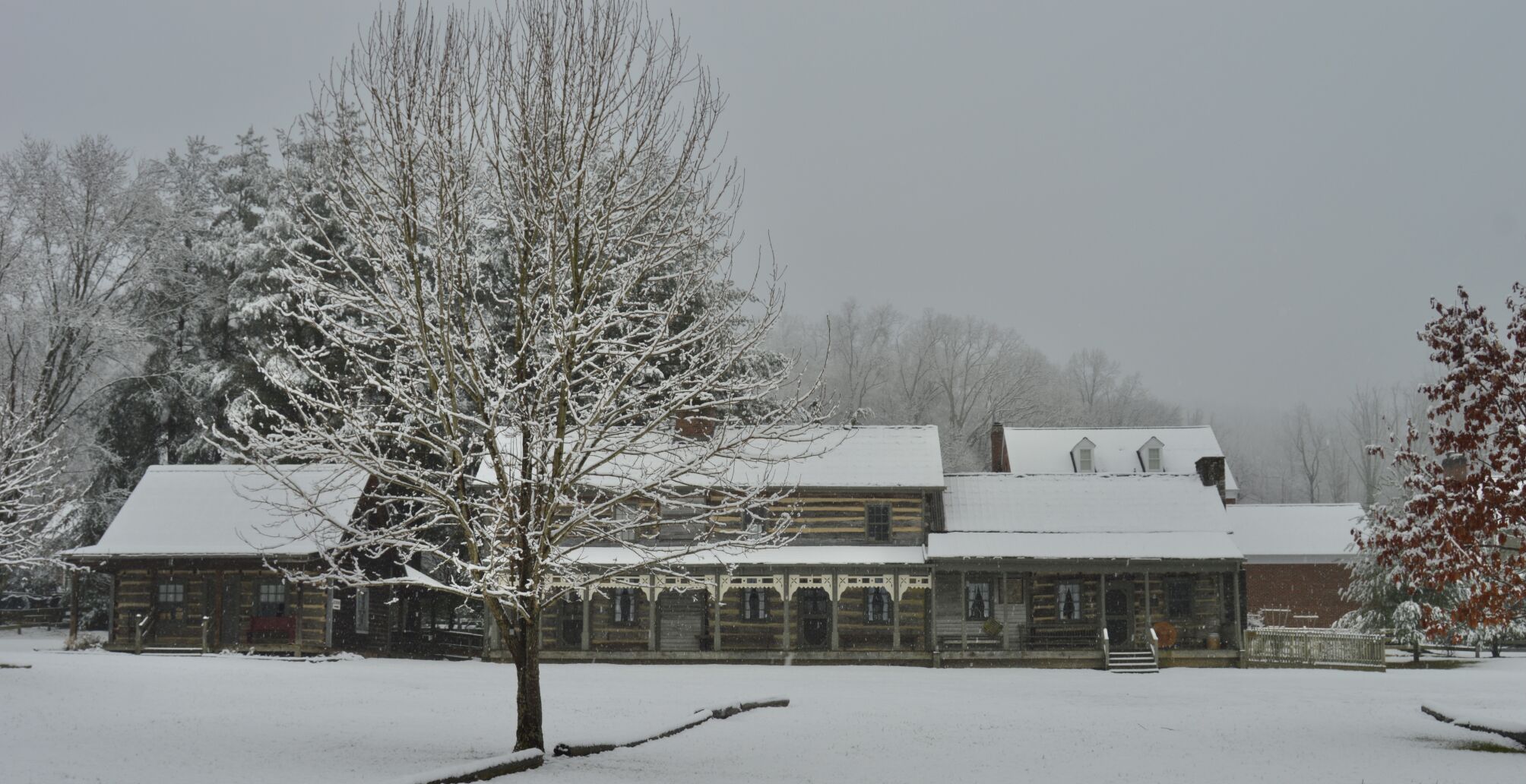 Snow day 13.JPEG
